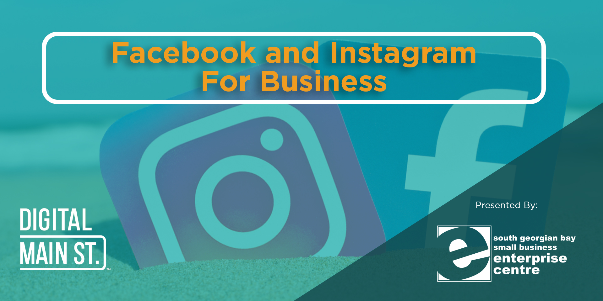 Access to webinar on Facebook & Instagram for Business