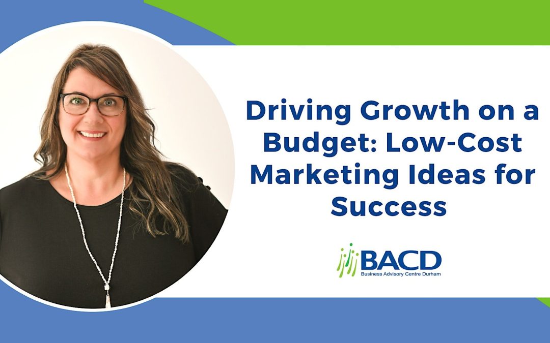 Driving Growth on a Budget: Low-Cost Marketing Ideas for Success